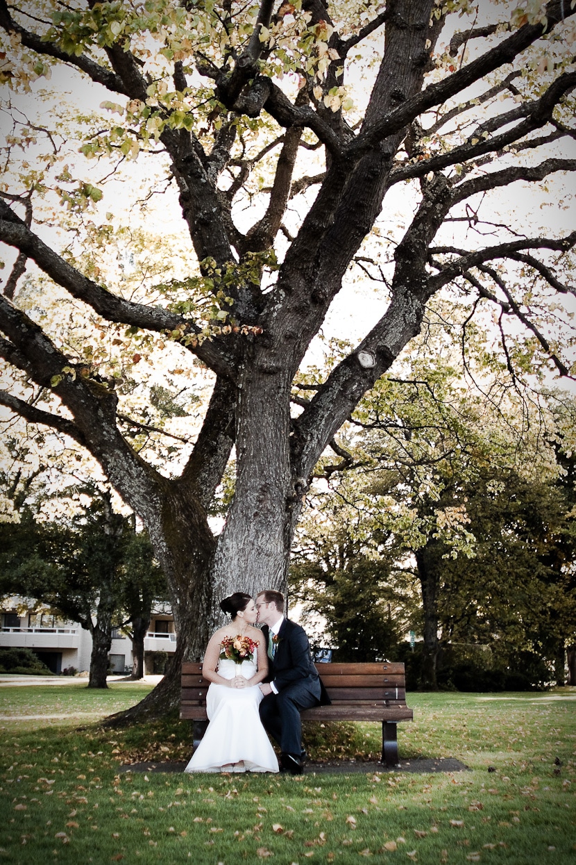 wedding portrait with large tree in victoria bc