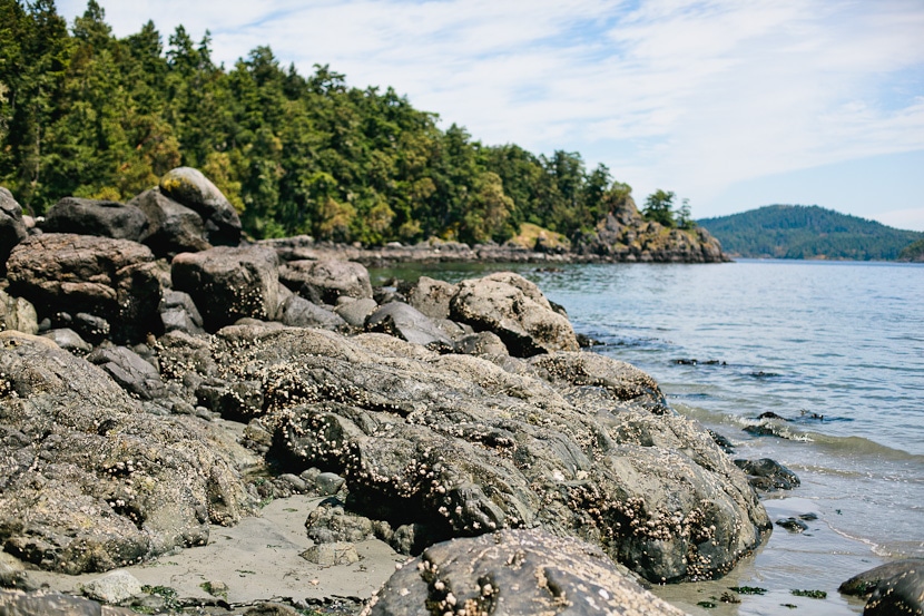 east sooke park oceanfront beach