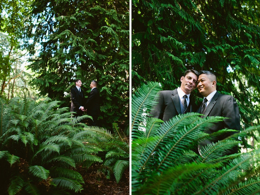 wedding portraits with ferns in beacon hill park