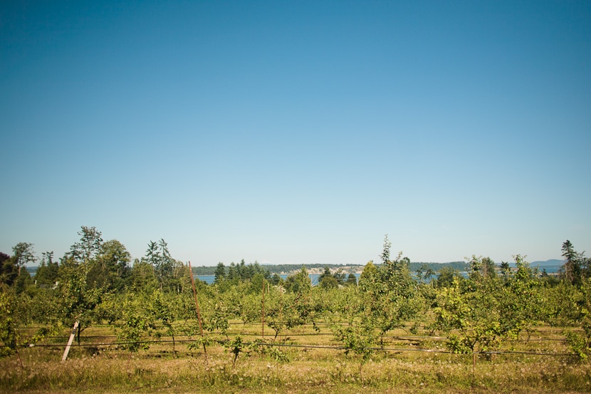 sea cider wedding venue in victoria bc