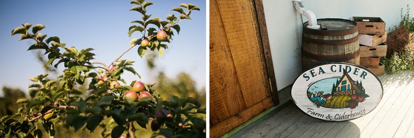 detail photography at sea cider saanich peninsula