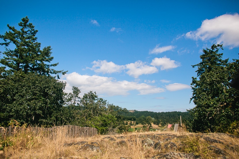 view from sleeping dog farm wedding ceremony