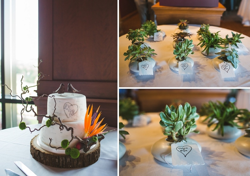 wedding cake and succulent wedding favours