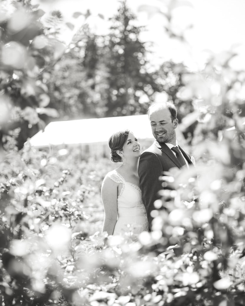 Sea Cider wedding, Lara Eichhorn Photography