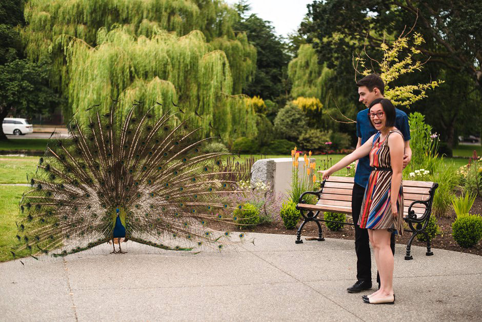 victoria bc couple portrait photographer