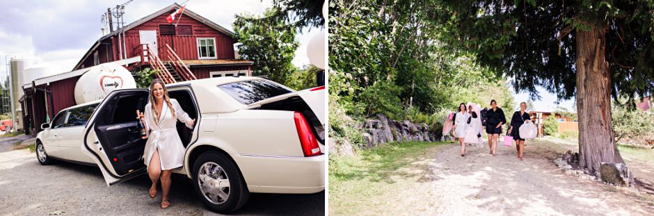 bridal party arriving to wedding at merridale cidery