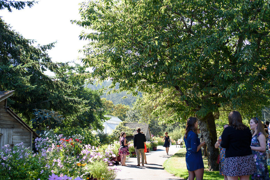 guests mingling at starline lane vineyard reception