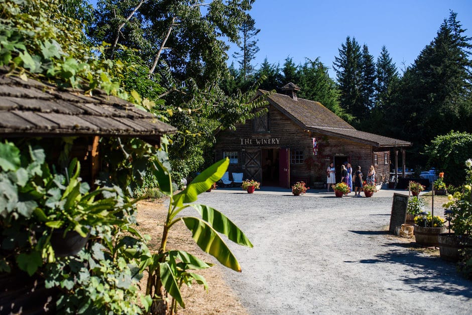 starline lane vineyard barn