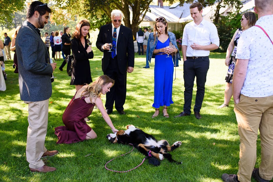 guests playing with puppy at wedding reception