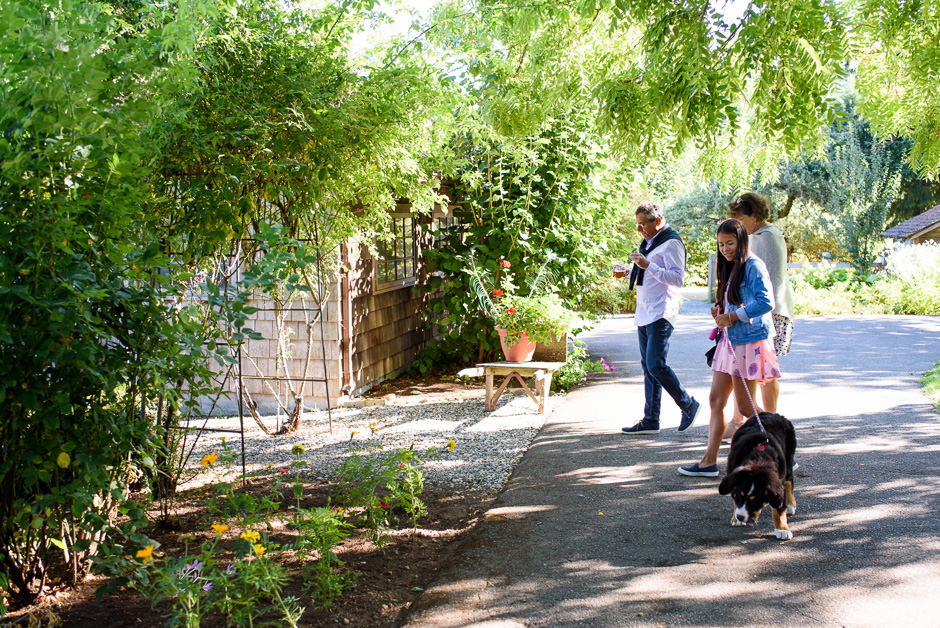 guests and puppy at outdoor wedding