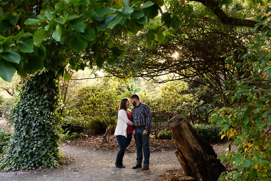 finnerty gardens portraits