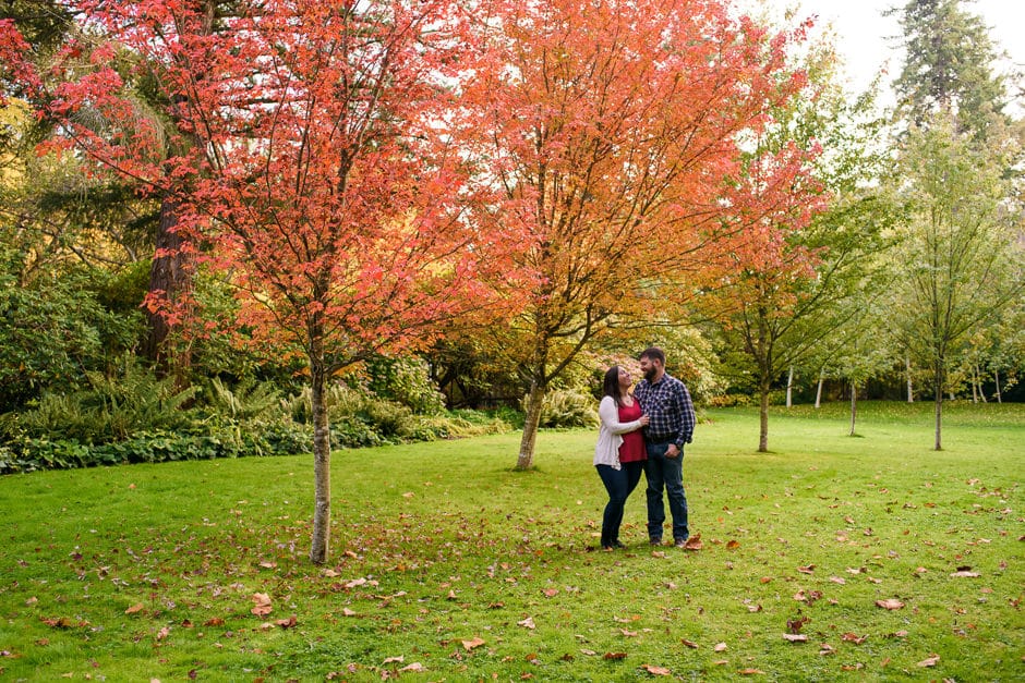 fall colours at uvic